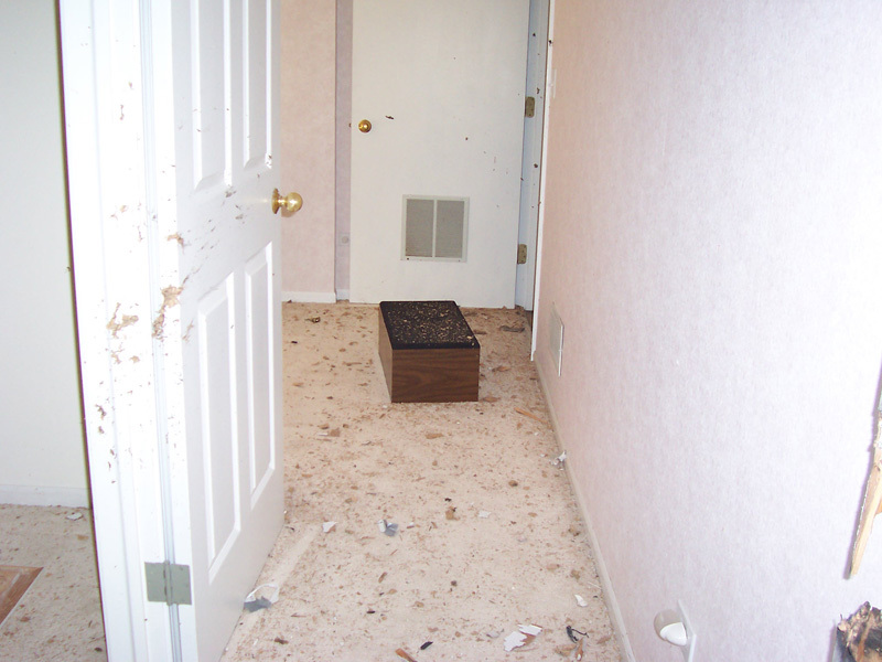 Destroyed Gage Lane Mansion (Before Demo Pics), Lake Forest, IL